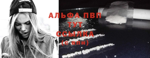 ECSTASY Богданович