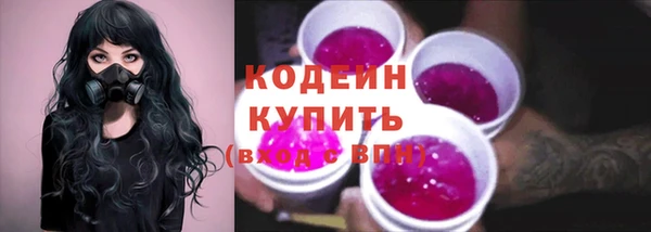 ECSTASY Богданович
