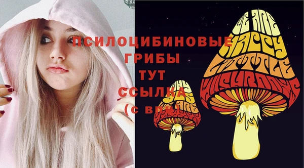 ешки Богородицк