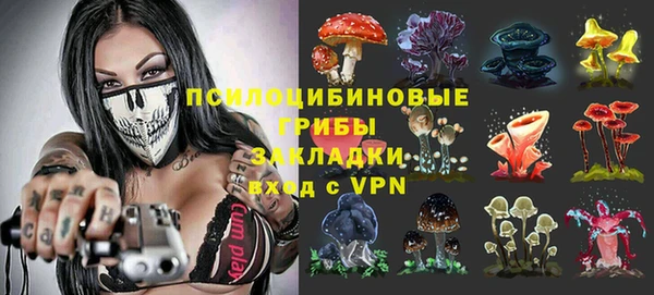 ECSTASY Богданович