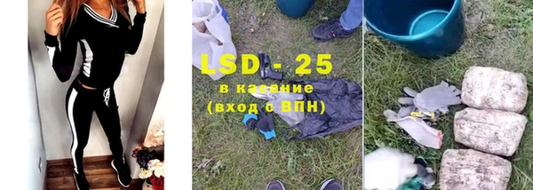 ECSTASY Богданович