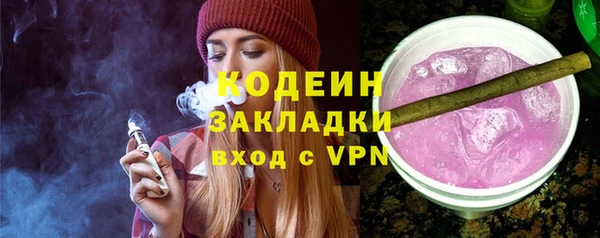 ECSTASY Богданович
