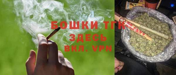 твердый Богородск