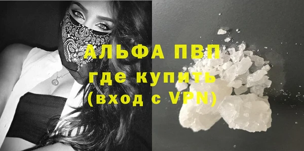 ECSTASY Богданович